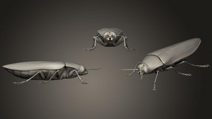 Insects (INSCT_0057) 3D model for CNC machine